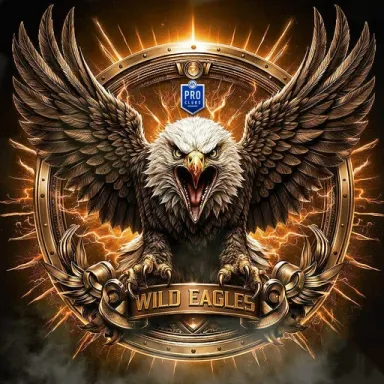 Wild Eagles logo